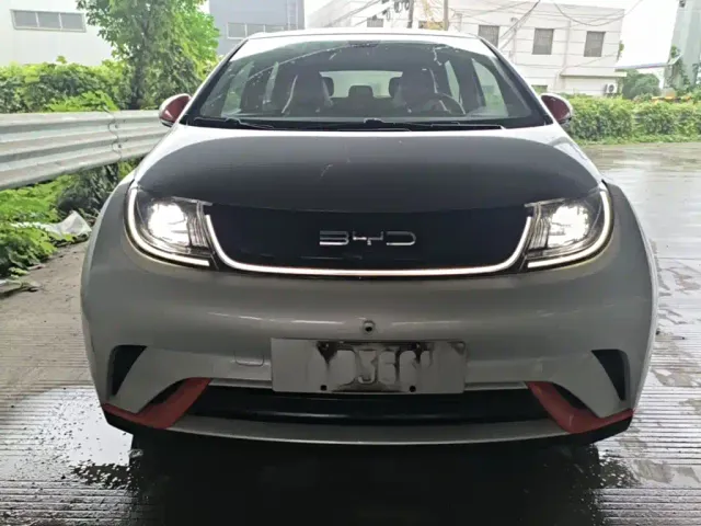 BYD Dolphin — Фото автомобиля 2