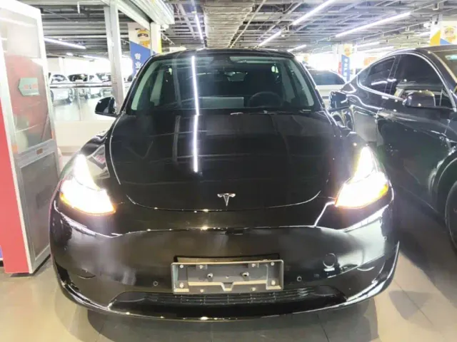Tesla Model Y — Фото автомобиля 2