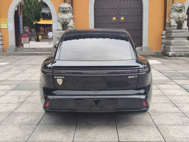 Forthing Xinghai S7 — Фото автомобиля 10