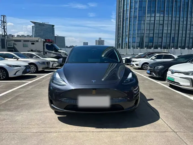 Tesla Model Y — Фото автомобиля 3