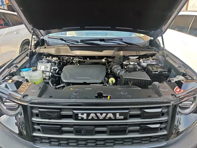 Haval Big Dog — Фото автомобиля 19