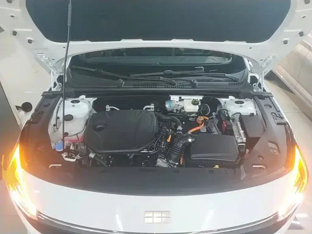 Geely Galaxy L6 — Фото автомобиля 19