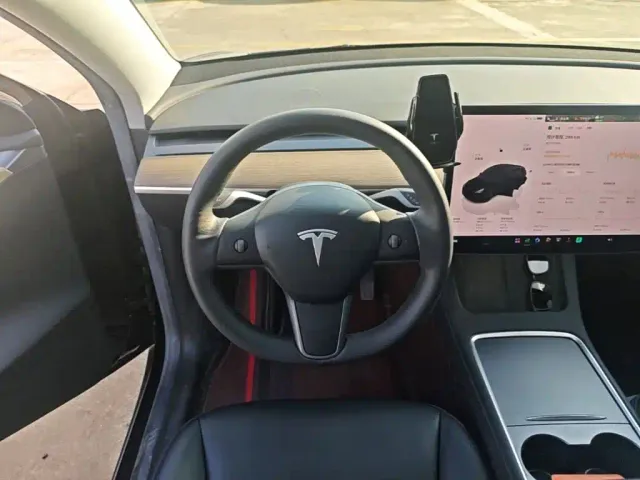 Tesla Model Y — Фото автомобиля 10