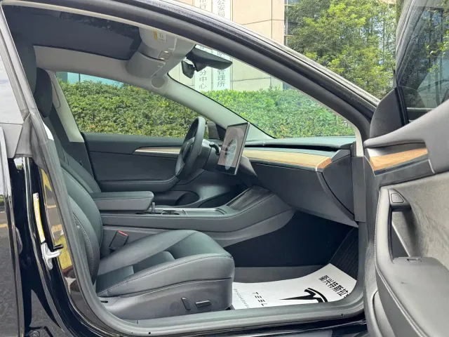 Tesla Model 3 — Фото автомобиля 6