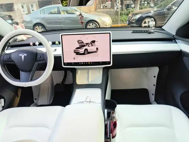 Tesla Model Y — Фото автомобиля 12