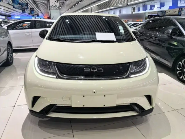 BYD Dolphin — Фото автомобиля 2