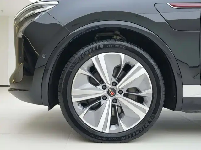 Hongqi E-HS9 — Фото автомобиля 15