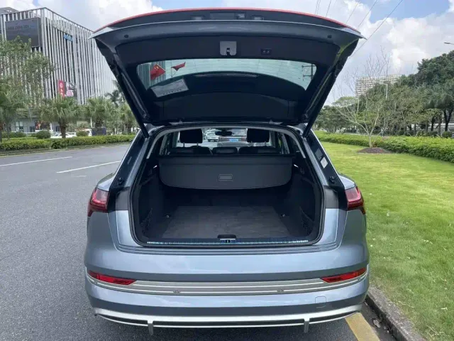 Audi e-tron — Фото автомобиля 18