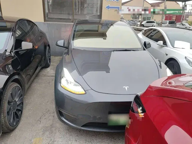 Tesla Model Y — Фото автомобиля 2