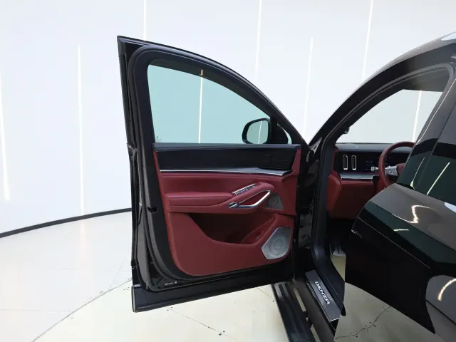 Denza Denza N9 — Фото автомобиля 10