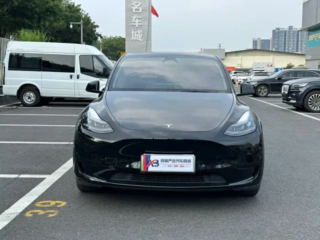 Tesla Model Y — Фото автомобиля 2