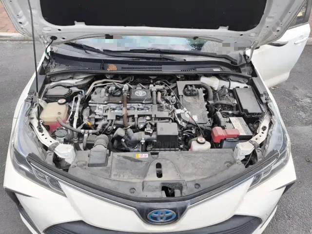 Toyota Corolla — Фото автомобиля 21