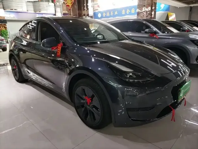 Tesla Model Y — Фото автомобиля 3