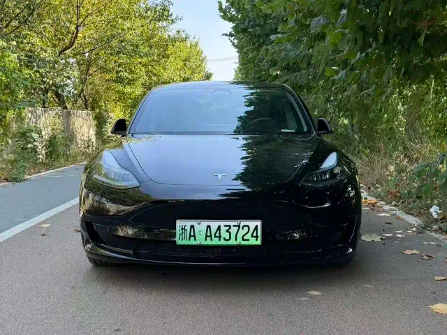 Tesla Model 3 — Фото автомобиля 2