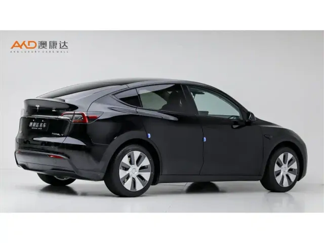 Tesla Model Y — Фото автомобиля 3