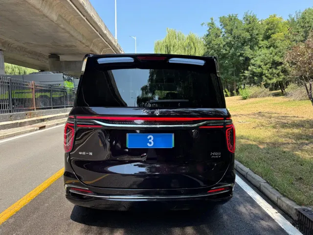 Hongqi HQ9 PHEV — Фото автомобиля 11