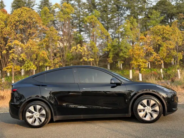 Tesla Model Y — Фото автомобиля 4