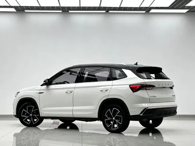 Skoda Kamiq — Фото автомобиля 6