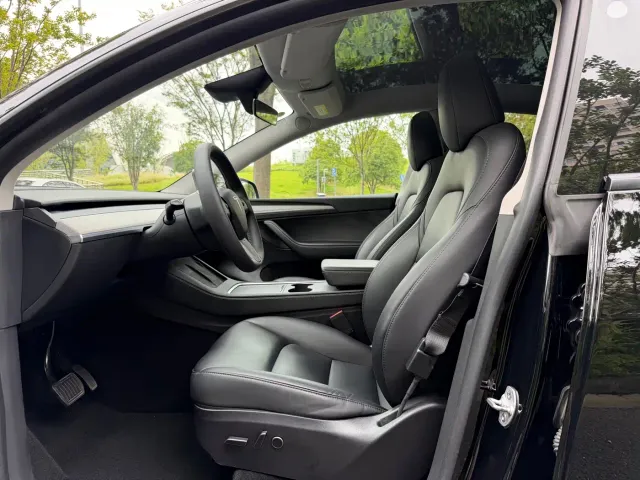 Tesla Model Y — Фото автомобиля 10