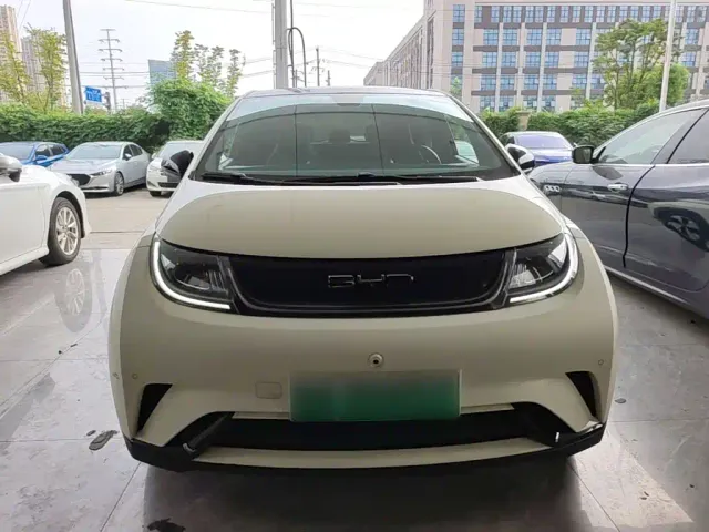 BYD Dolphin 2023 420km Fashion Edition — Фото автомобиля 2