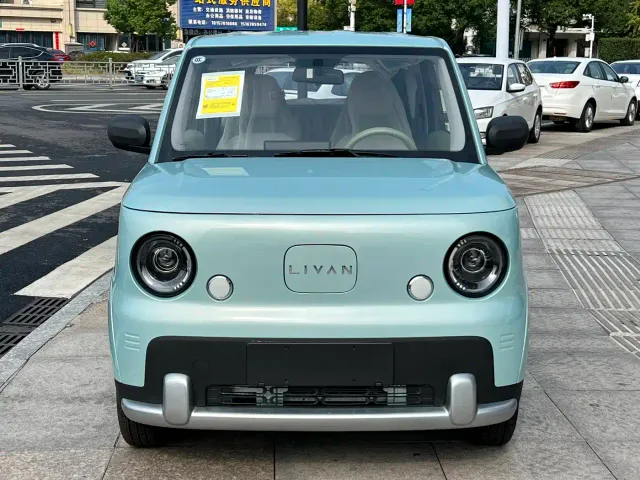 Livan Ruilan Blue Elf — Фото автомобиля 2