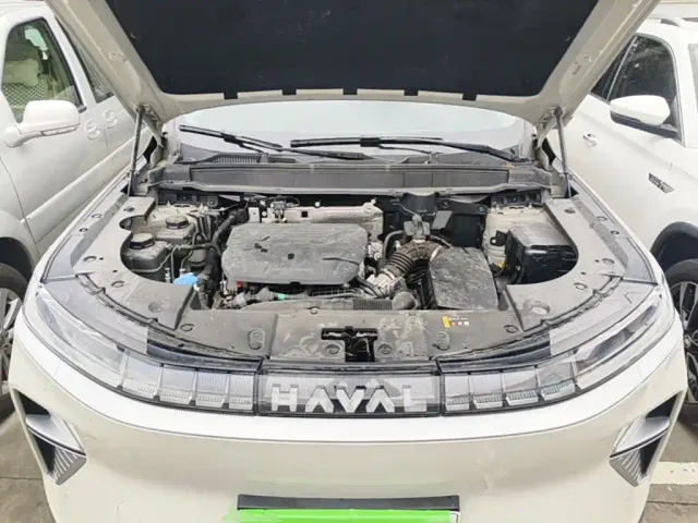 Haval Xiaolong MAX — Фото автомобиля 19