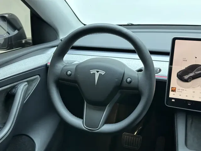 Tesla Model Y — Фото автомобиля 19