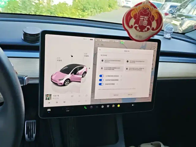 Tesla Model Y — Фото автомобиля 13