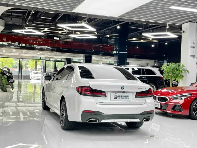 BMW 5 Series — Фото автомобиля 17