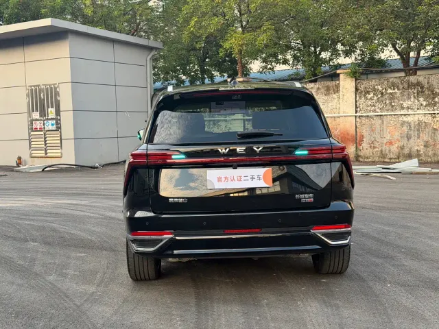 Wey Lanshan — Фото автомобиля 12