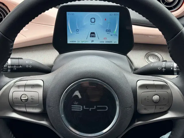 BYD Dolphin — Фото автомобиля 4