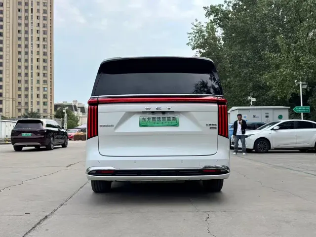 Wey Alpine — Фото автомобиля 10