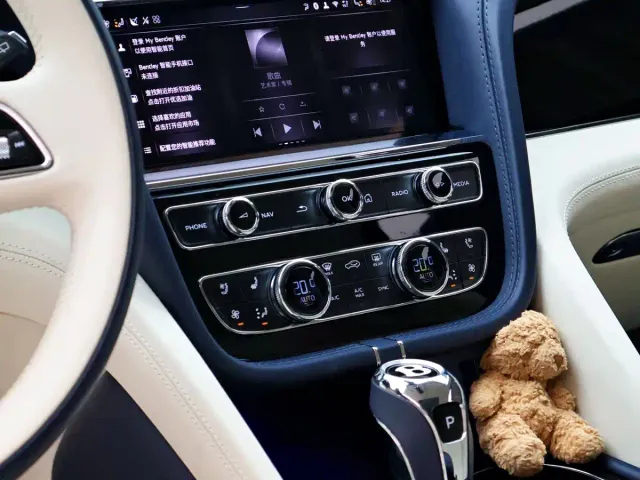Bentley Bentayga — Фото автомобиля 20