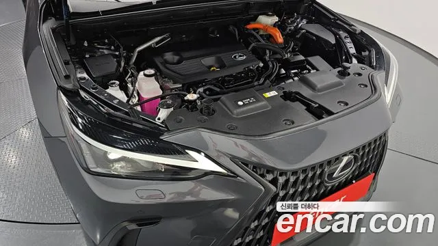Lexus NX 2nd Gen — Фото автомобиля 9