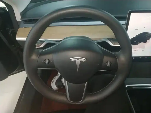 Tesla Model 3 — Фото автомобиля 10