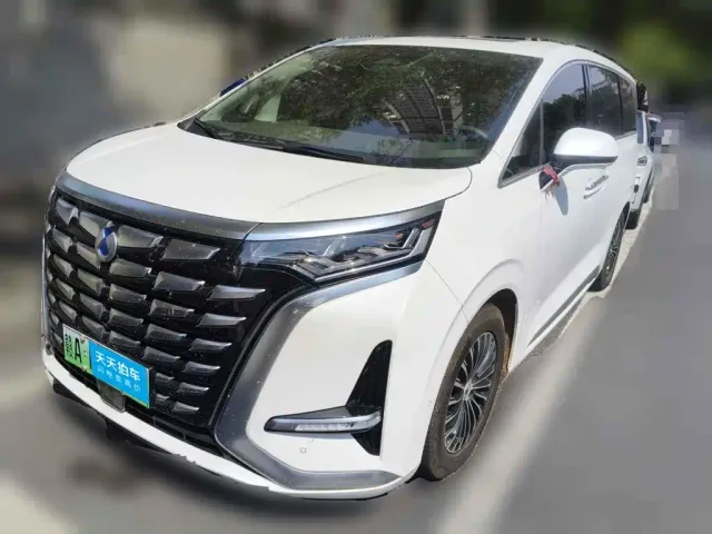 Фотография автомобиля — Denza D9