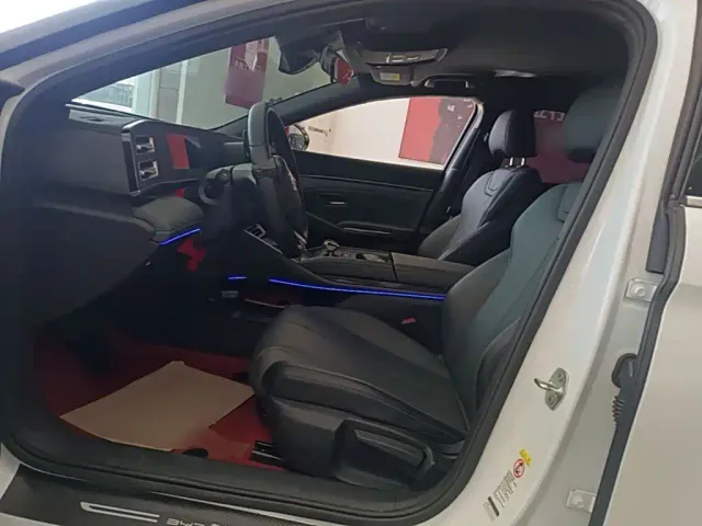 BYD Qin L — Фото автомобиля 14
