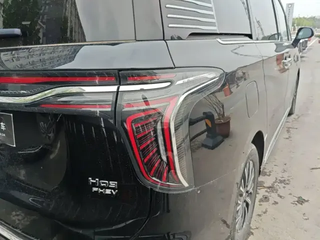 Hongqi Hongqi HQ9 PHEV 2024 Model 2.0T AWD Business Edition — Фото автомобиля 7