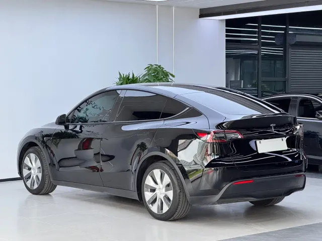 Tesla Model Y — Фото автомобиля 19