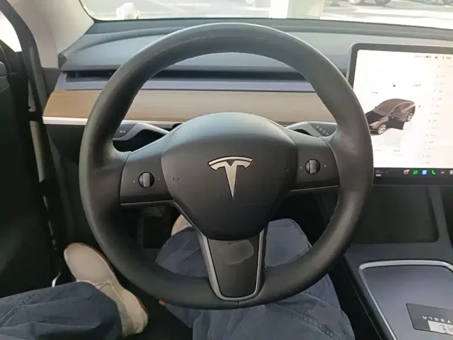 Tesla Model Y — Фото автомобиля 10