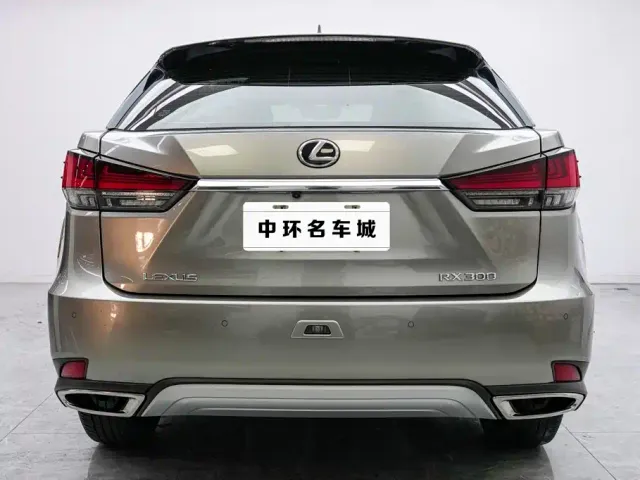 Lexus RX — Фото автомобиля 16
