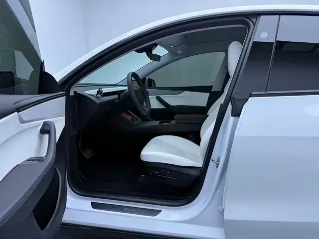 Tesla Model Y — Фото автомобиля 12