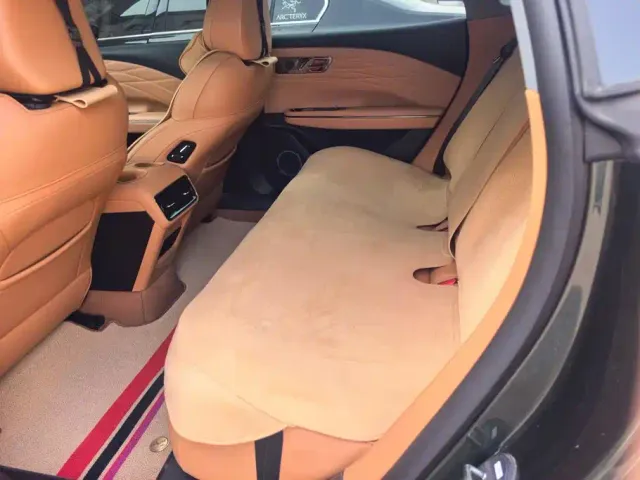 Geely Galaxy Xingyao 8 — Фото автомобиля 11