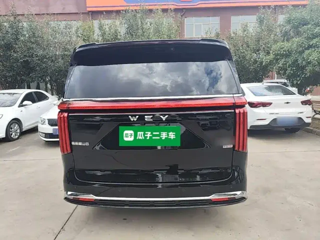 Wey Alpine — Фото автомобиля 5