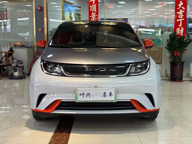 BYD Dolphin — Фото автомобиля 2