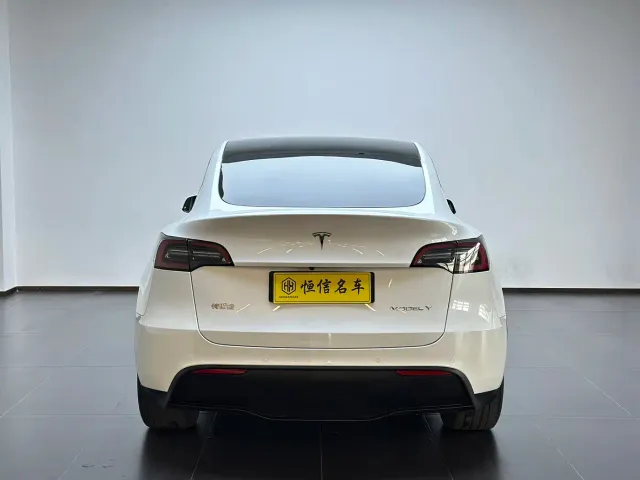 Tesla Model Y — Фото автомобиля 4