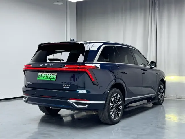 Wey Lanshan — Фото автомобиля 5
