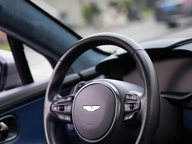 Aston Martin DBX — Фото автомобиля 13