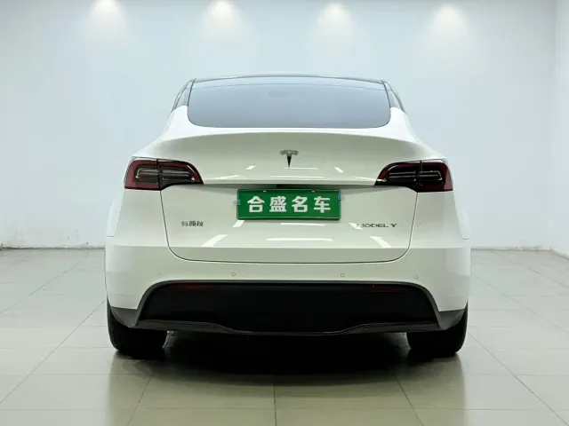 Tesla Model Y — Фото автомобиля 11