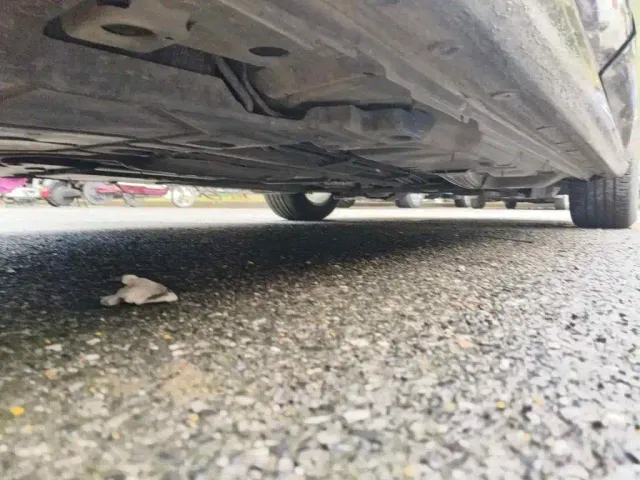 Buick Regal — Фото автомобиля 8